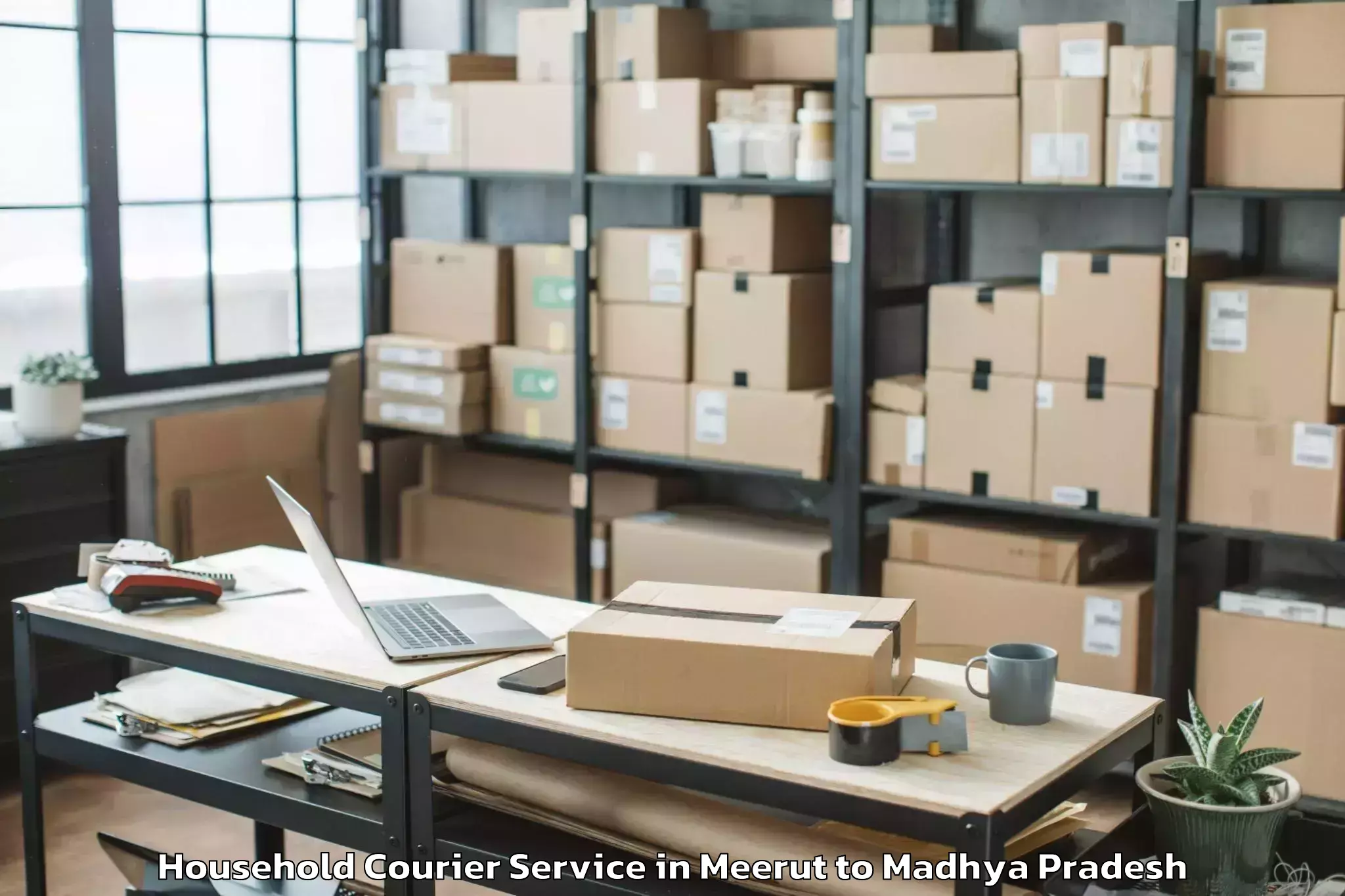 Efficient Meerut to Mandideep Household Courier